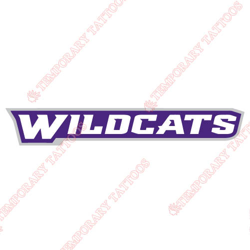 Abilene Christian Wildcats 2013-Pres Wordmark Logo1 Customize Temporary Tattoos Stickers N3683